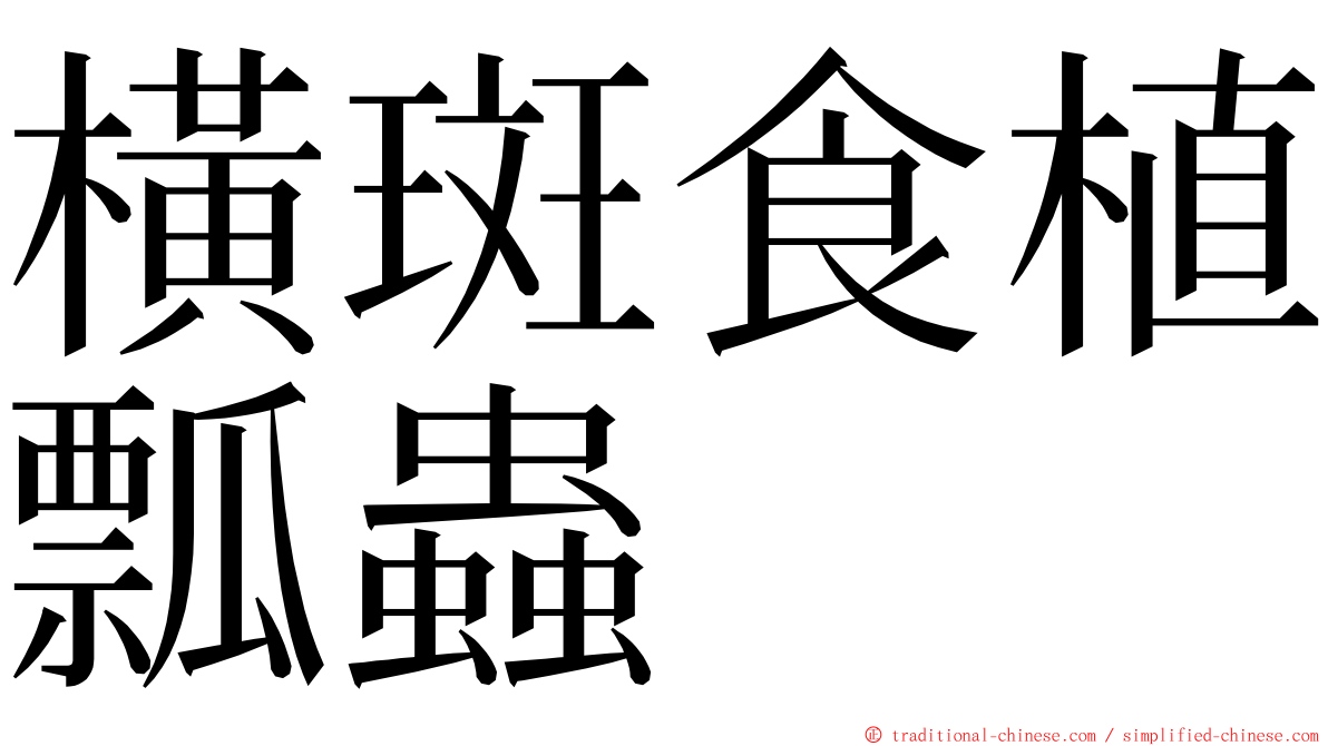 橫斑食植瓢蟲 ming font