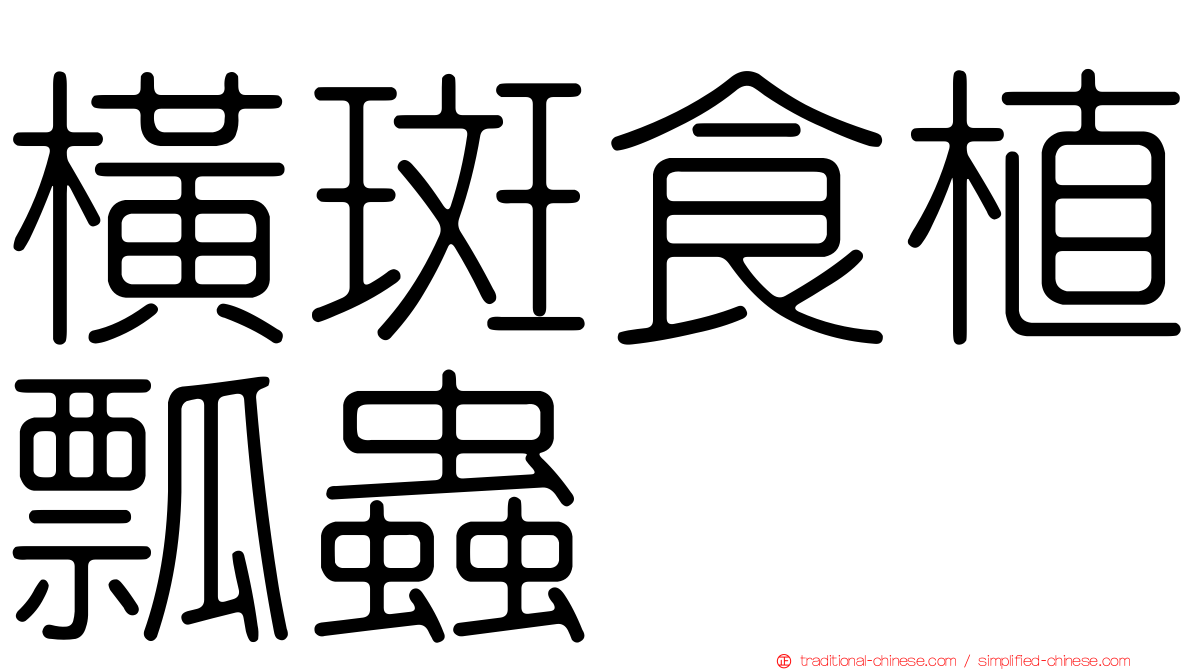 橫斑食植瓢蟲