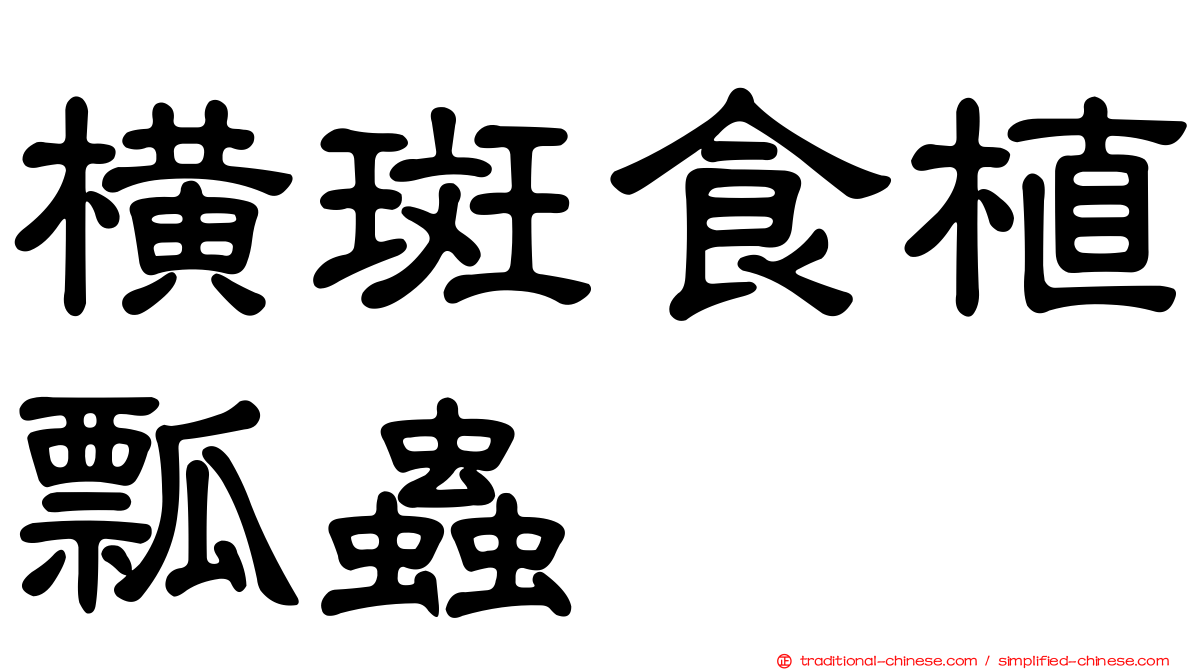 橫斑食植瓢蟲