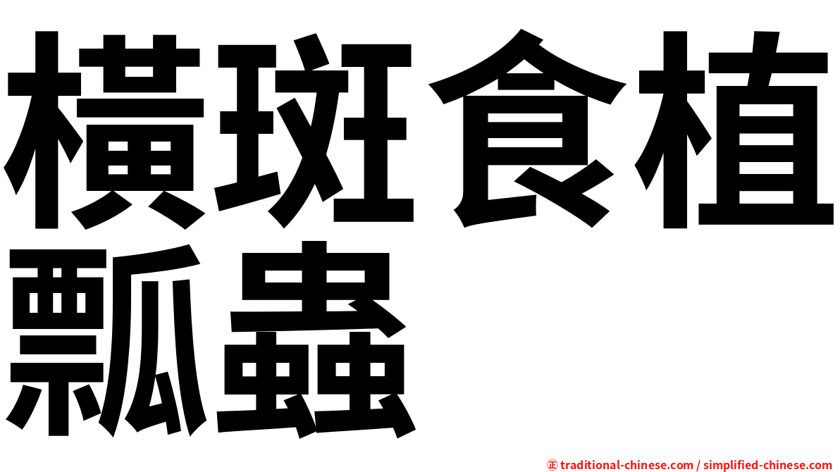 橫斑食植瓢蟲