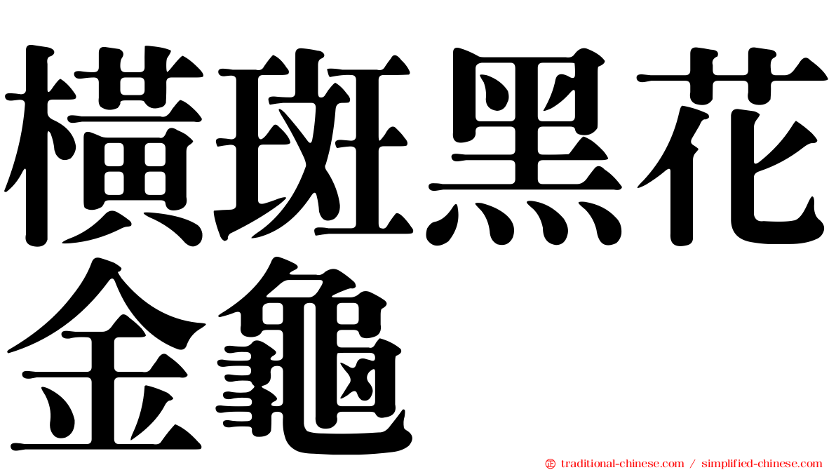 橫斑黑花金龜