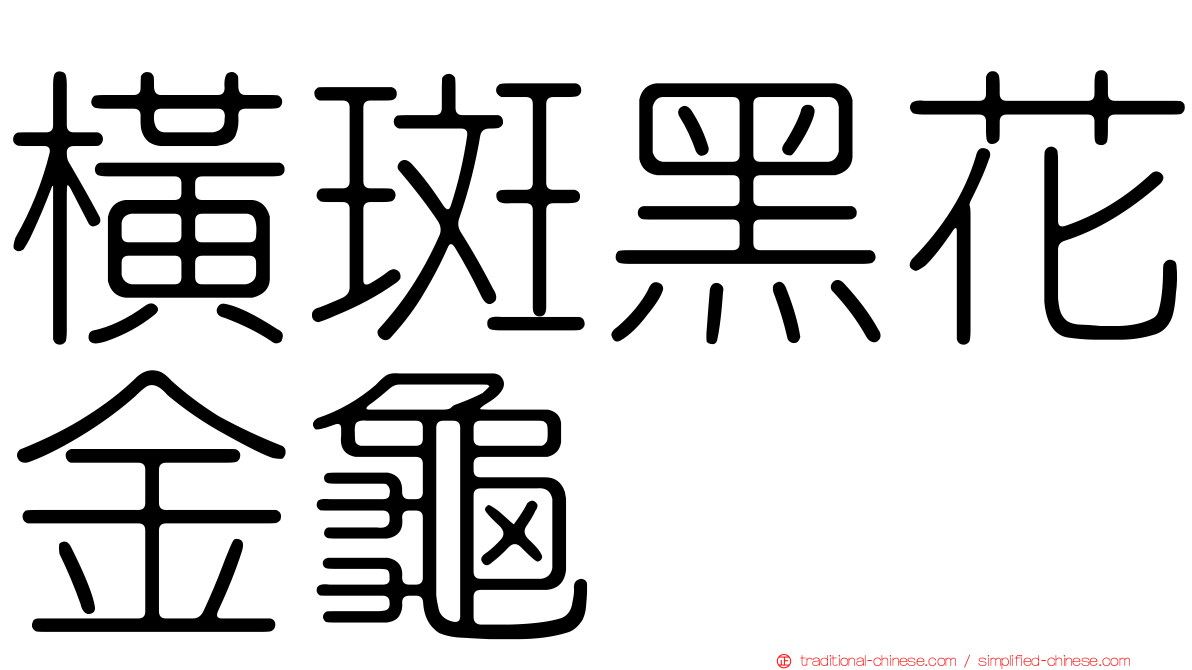 橫斑黑花金龜
