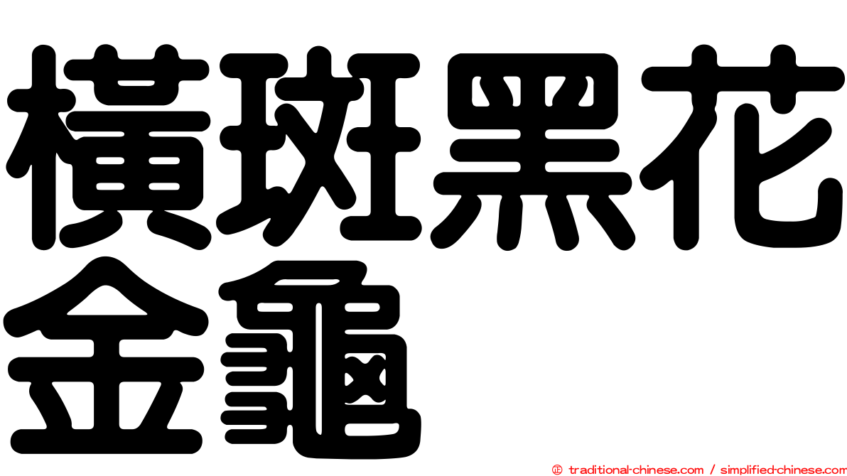 橫斑黑花金龜