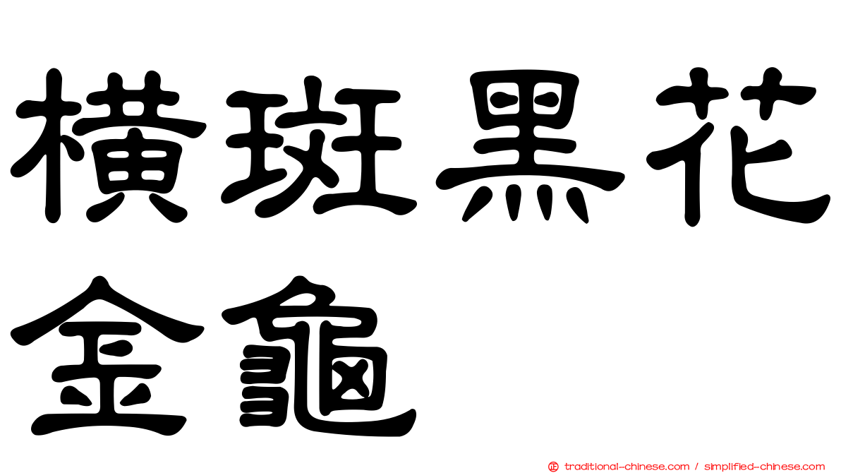 橫斑黑花金龜