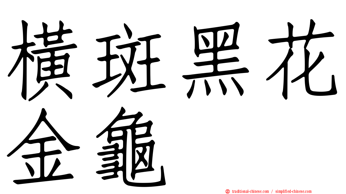 橫斑黑花金龜
