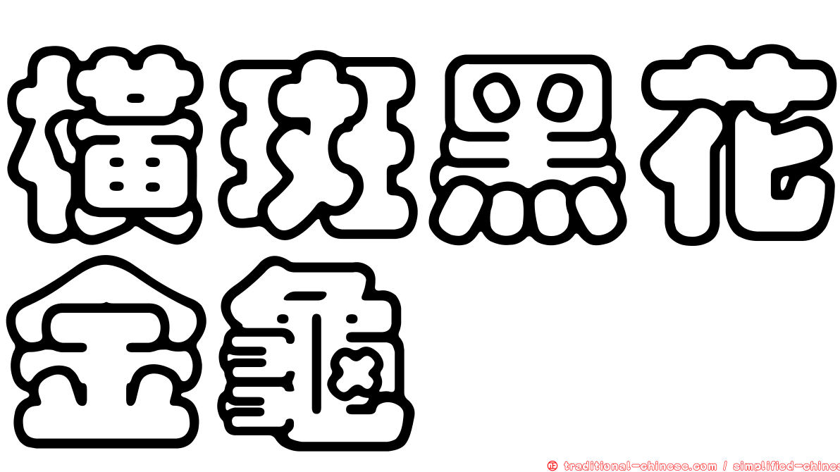 橫斑黑花金龜