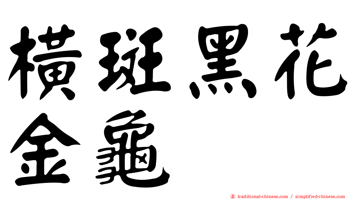 橫斑黑花金龜