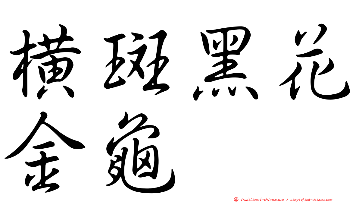 橫斑黑花金龜