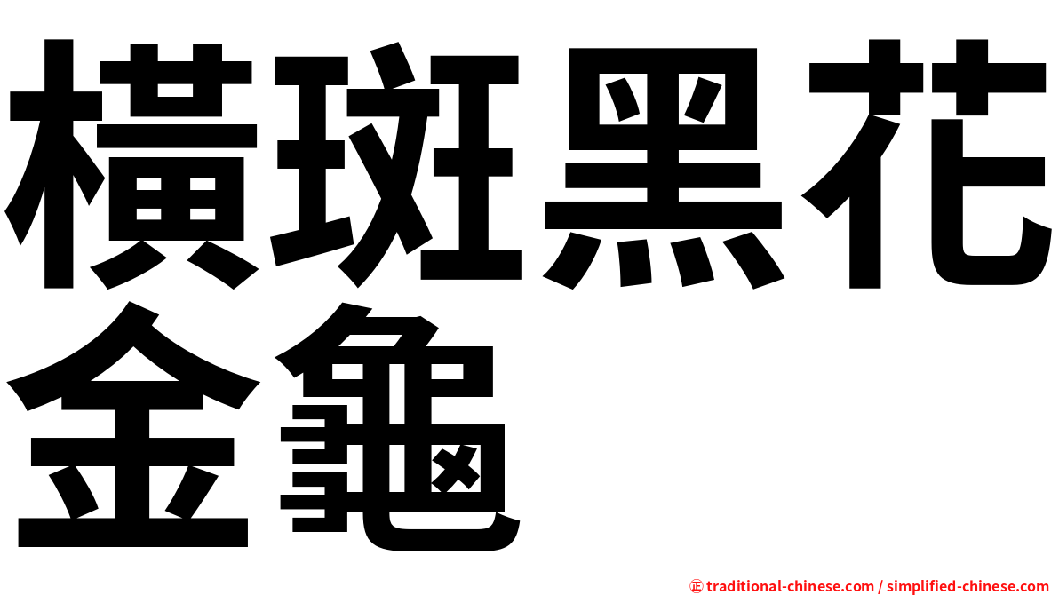 橫斑黑花金龜