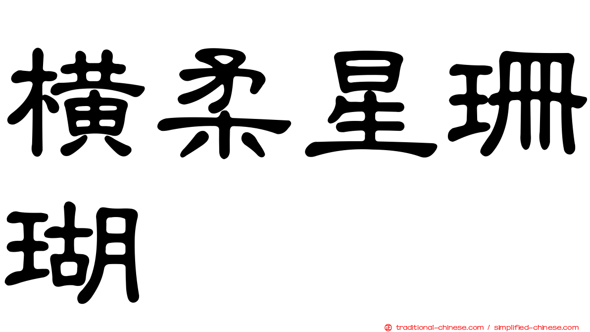 橫柔星珊瑚
