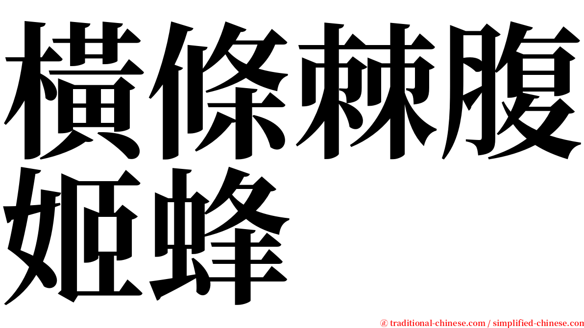 橫條棘腹姬蜂 serif font