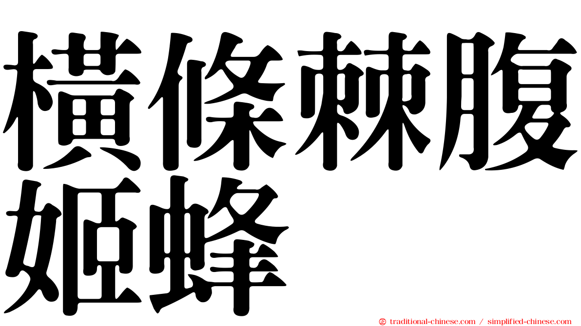 橫條棘腹姬蜂