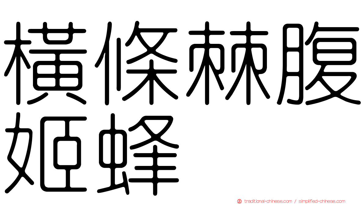 橫條棘腹姬蜂
