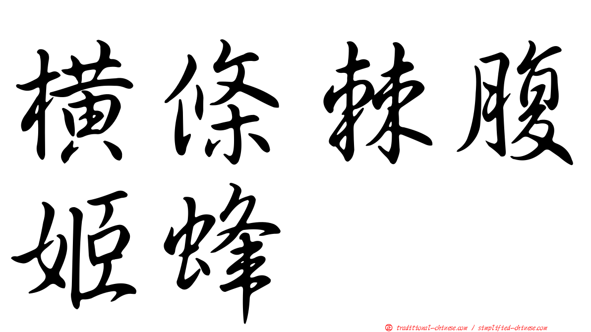 橫條棘腹姬蜂