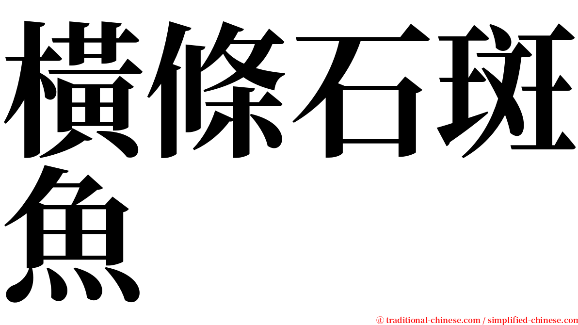 橫條石斑魚 serif font