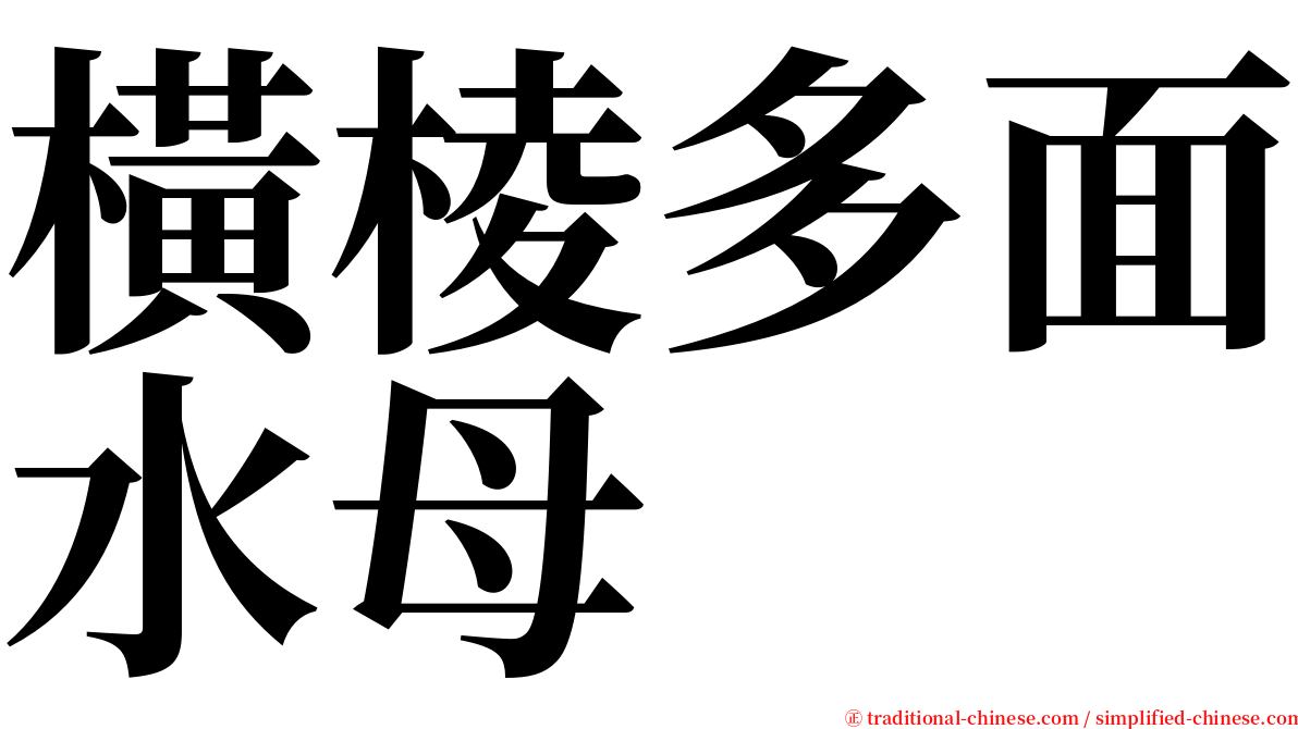 橫棱多面水母 serif font