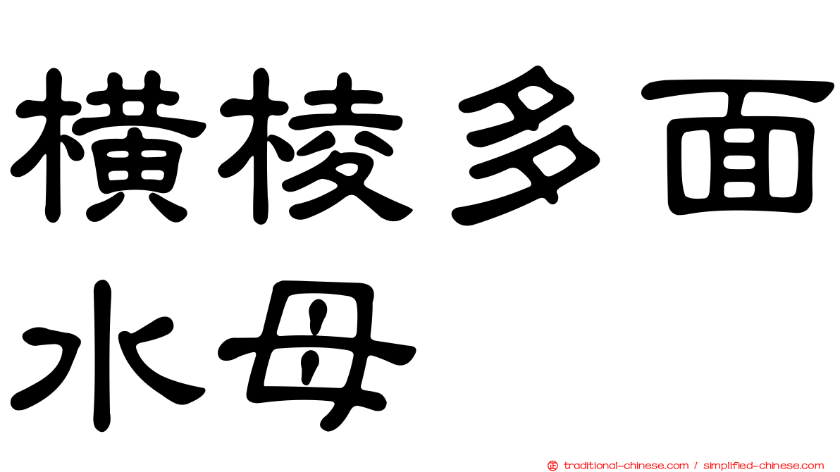 橫棱多面水母