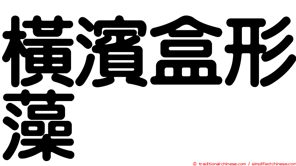 橫濱盒形藻