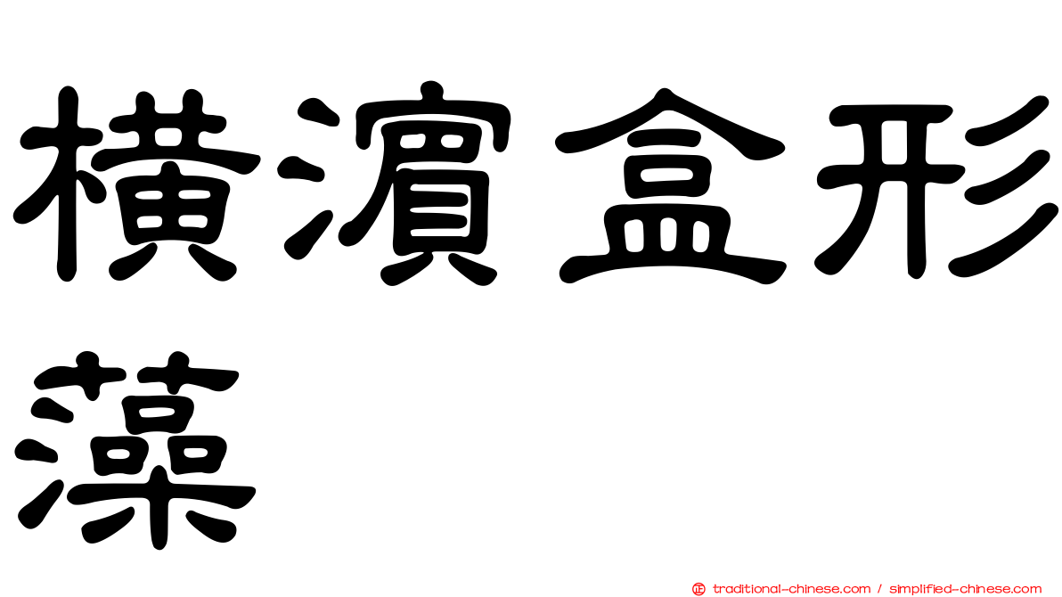 橫濱盒形藻