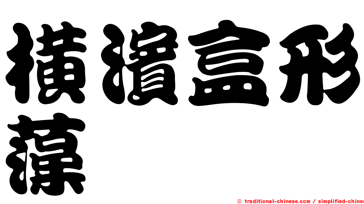橫濱盒形藻