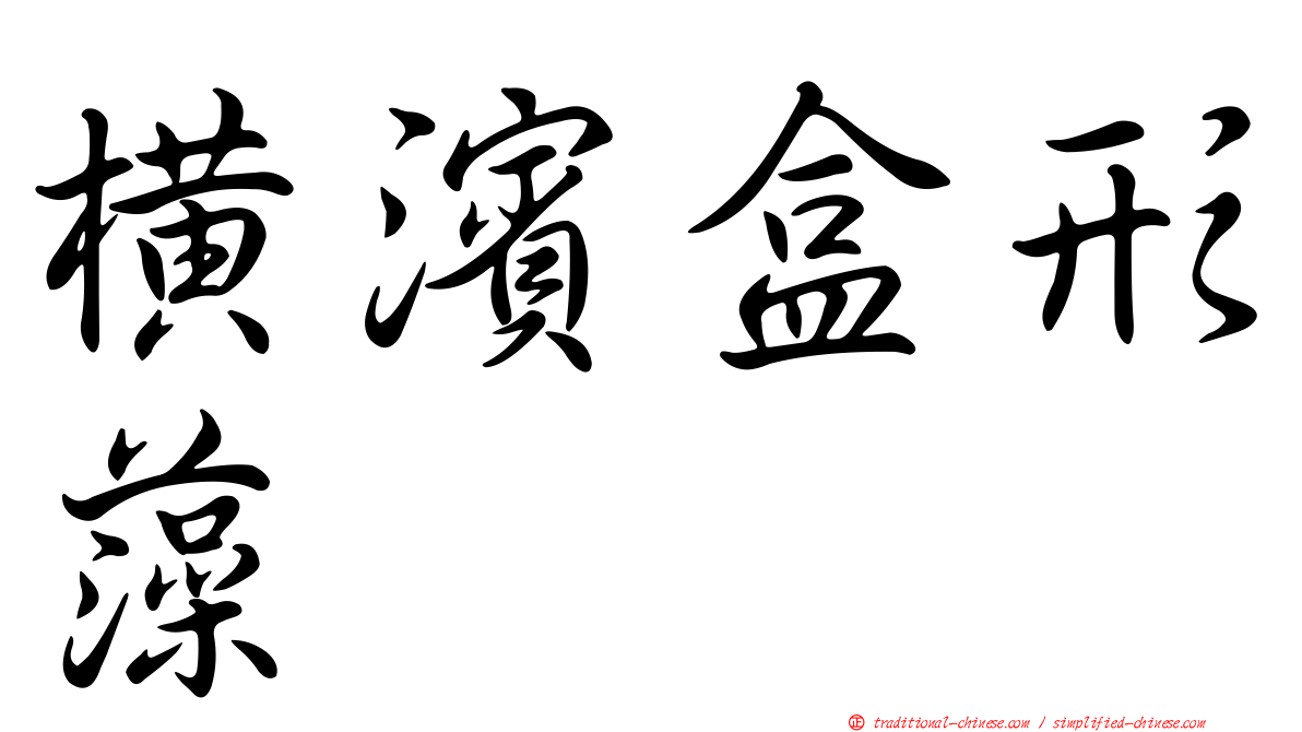 橫濱盒形藻