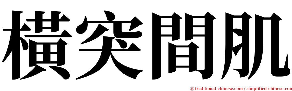 橫突間肌 serif font