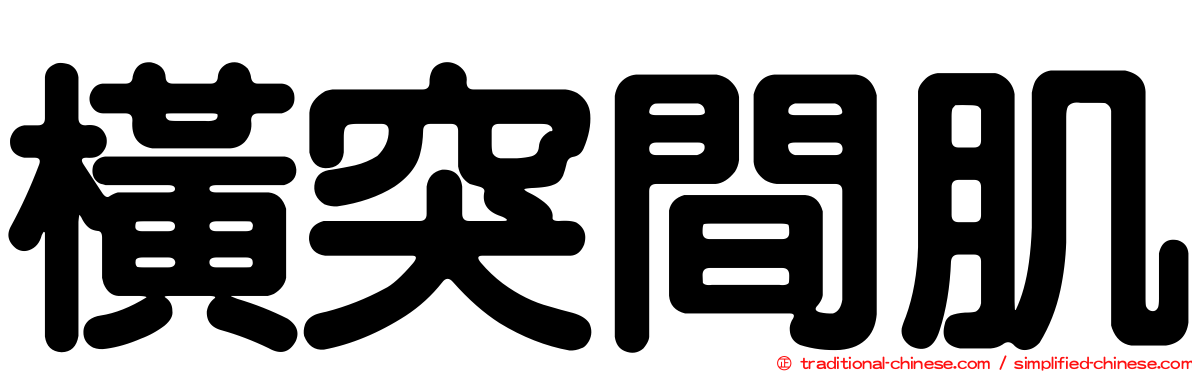 橫突間肌