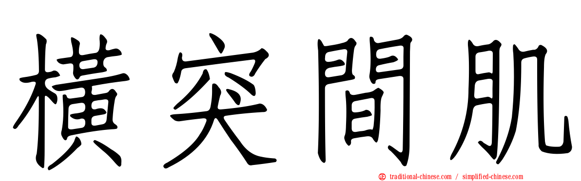 橫突間肌