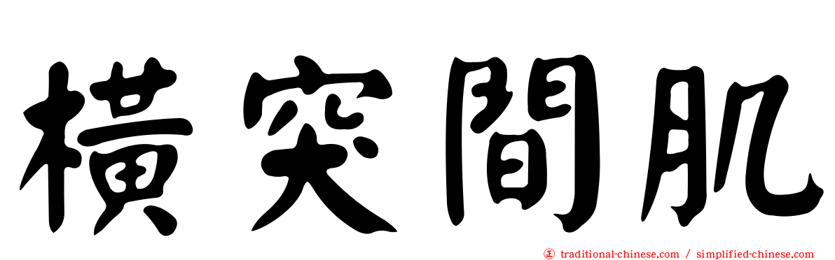 橫突間肌