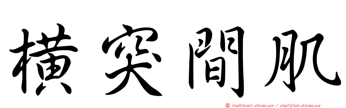 橫突間肌