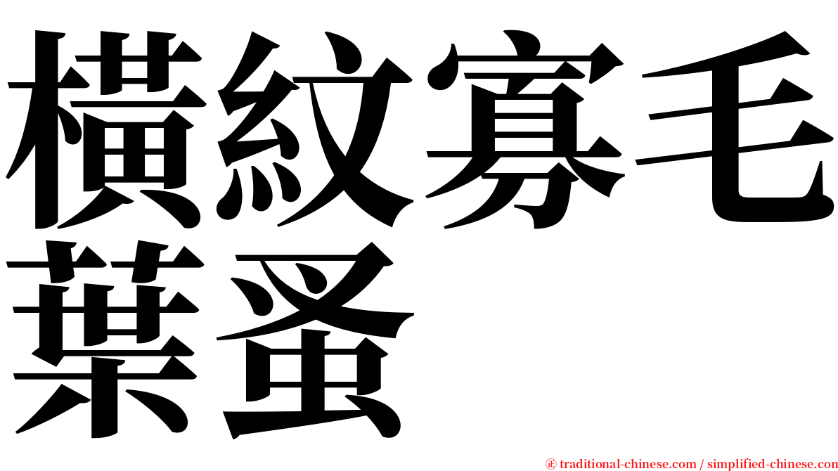 橫紋寡毛葉蚤 serif font