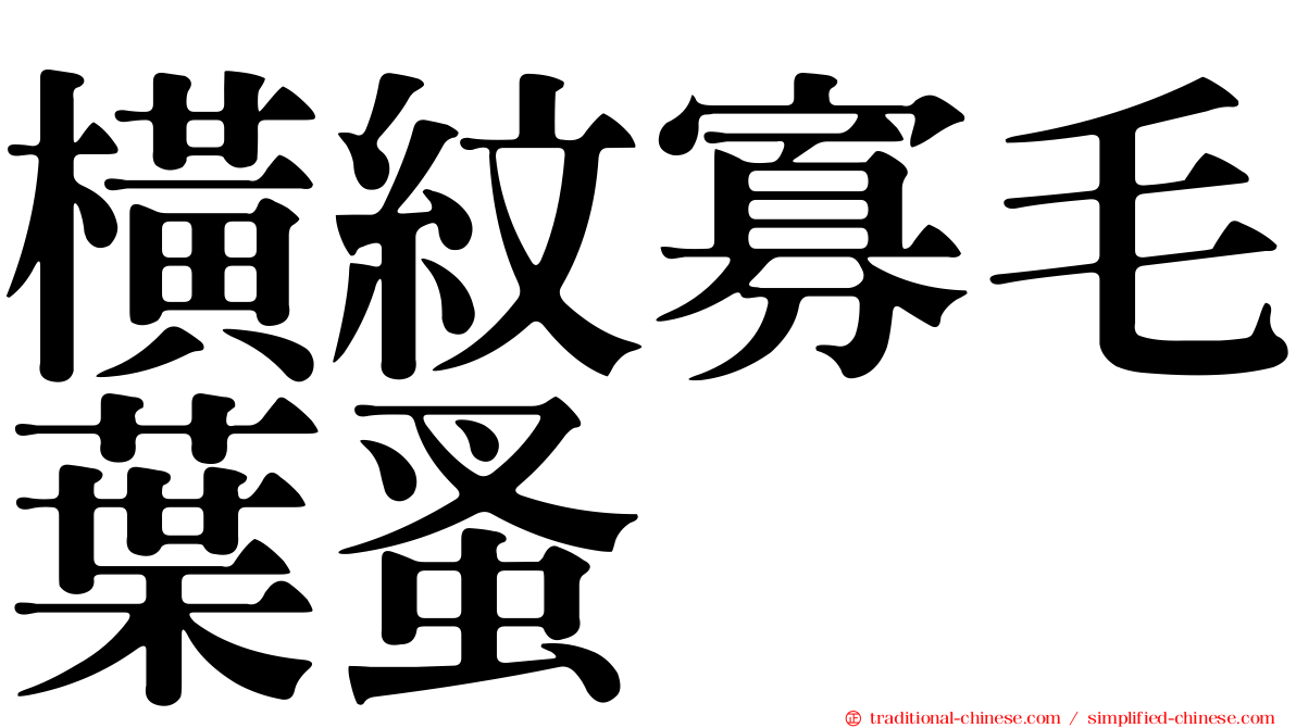 橫紋寡毛葉蚤