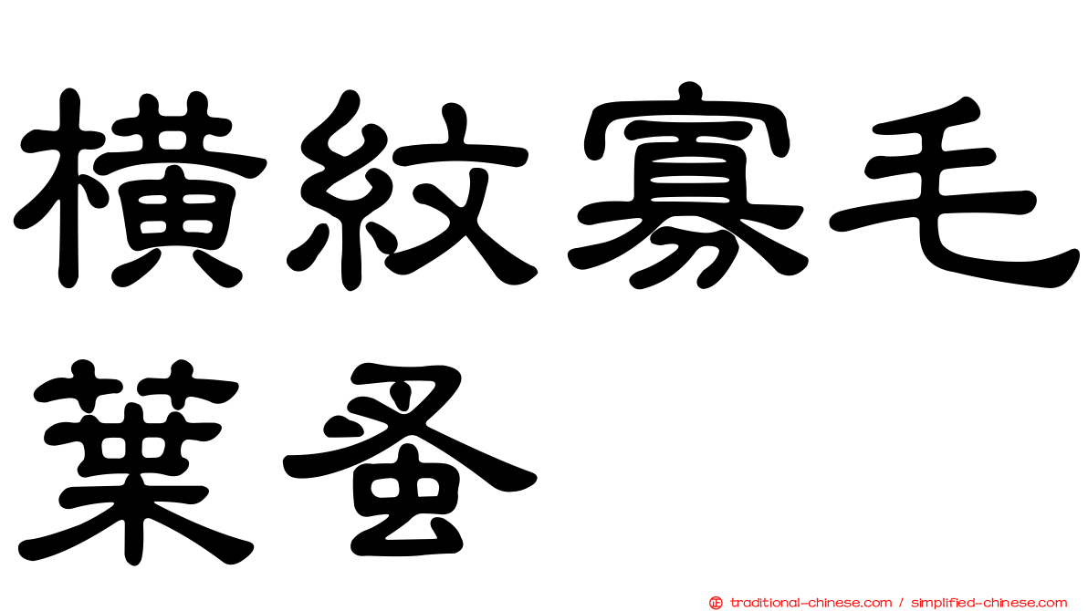 橫紋寡毛葉蚤