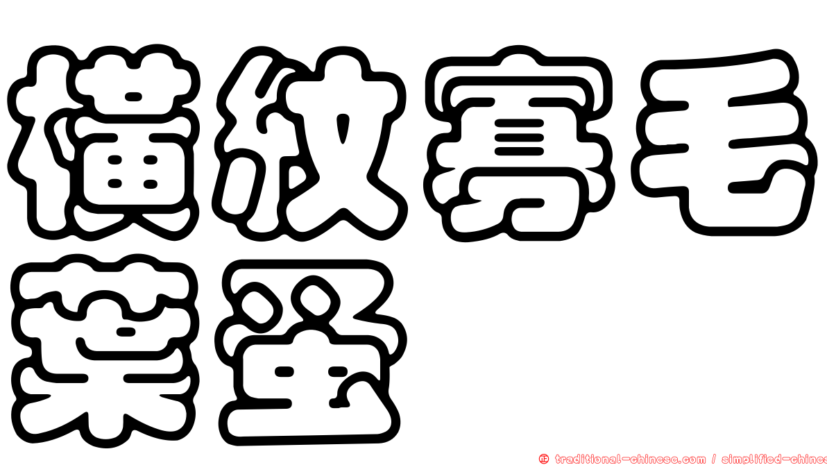 橫紋寡毛葉蚤