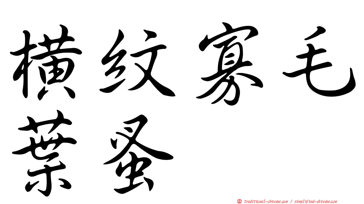 橫紋寡毛葉蚤
