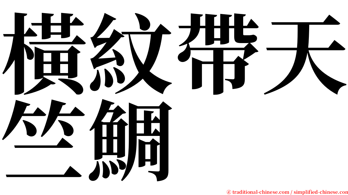 橫紋帶天竺鯛 serif font
