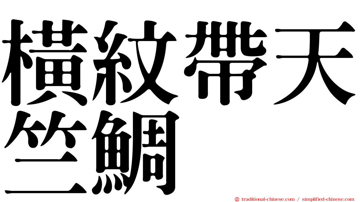 橫紋帶天竺鯛