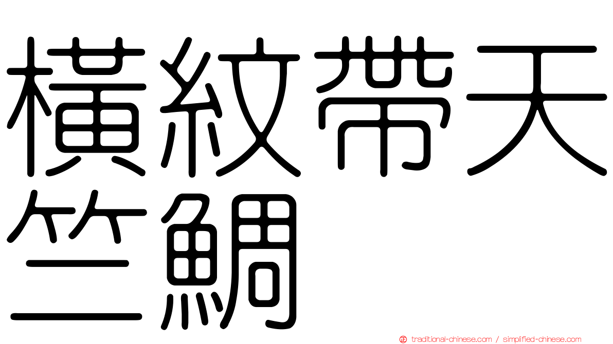 橫紋帶天竺鯛