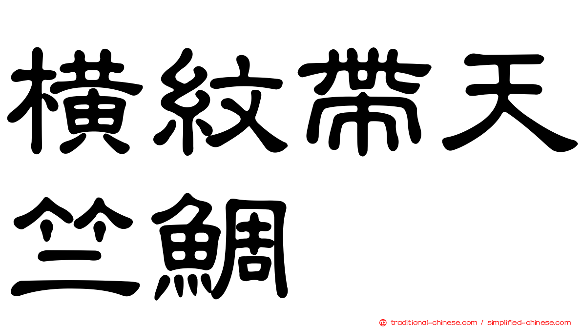橫紋帶天竺鯛