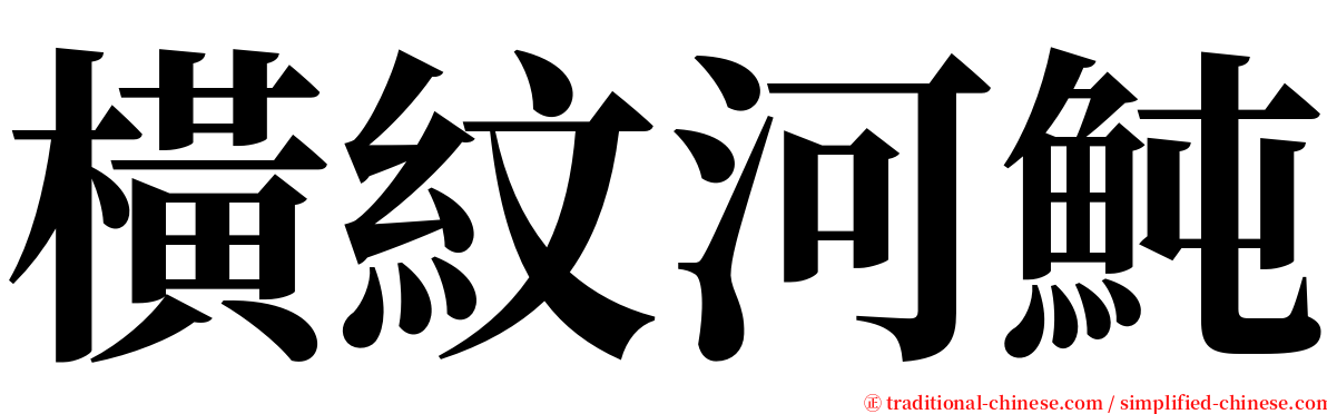 橫紋河魨 serif font