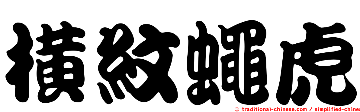 橫紋蠅虎