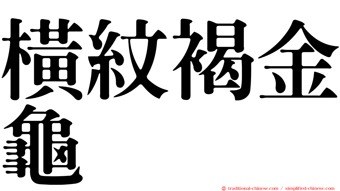 橫紋褐金龜