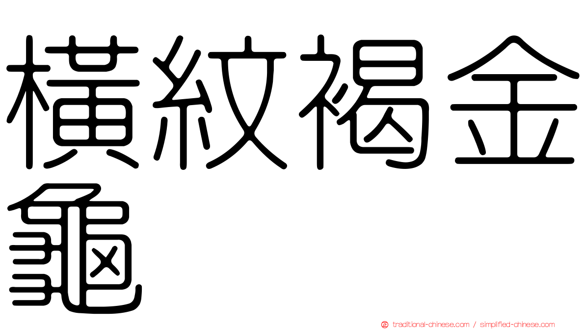 橫紋褐金龜