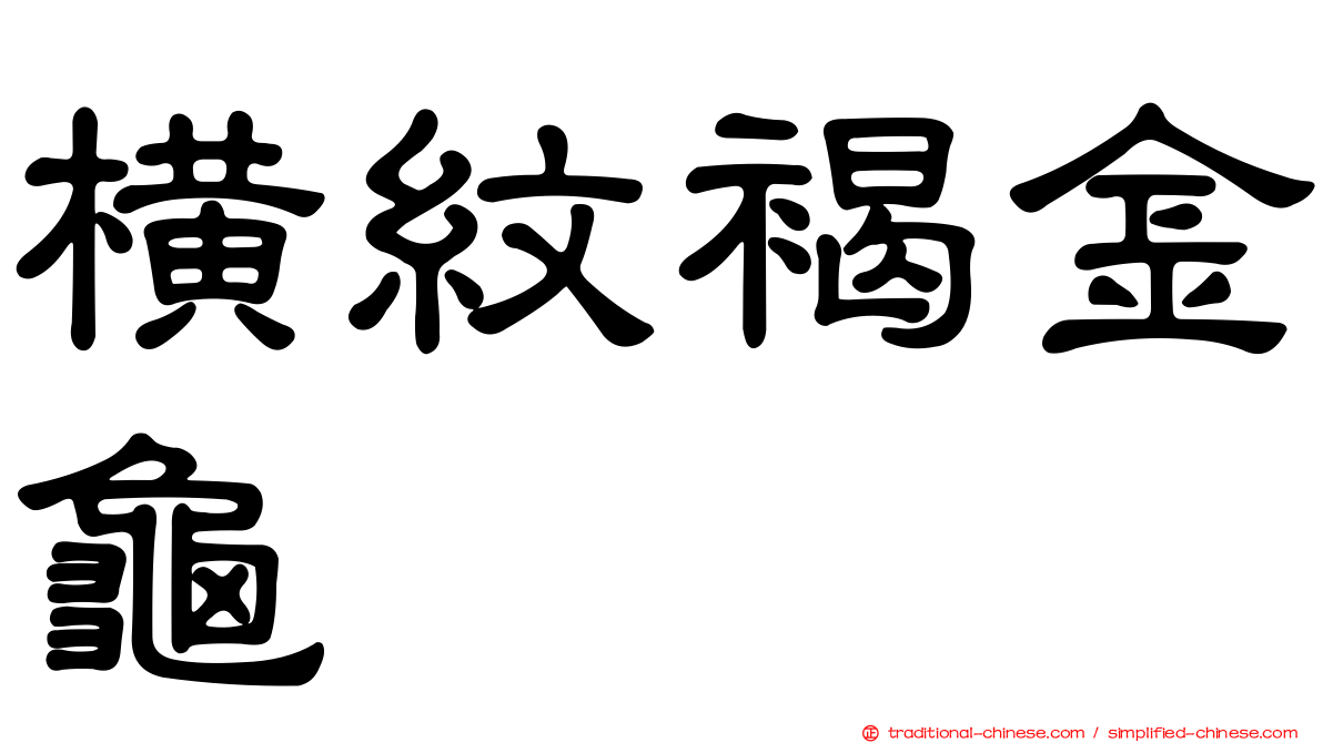 橫紋褐金龜