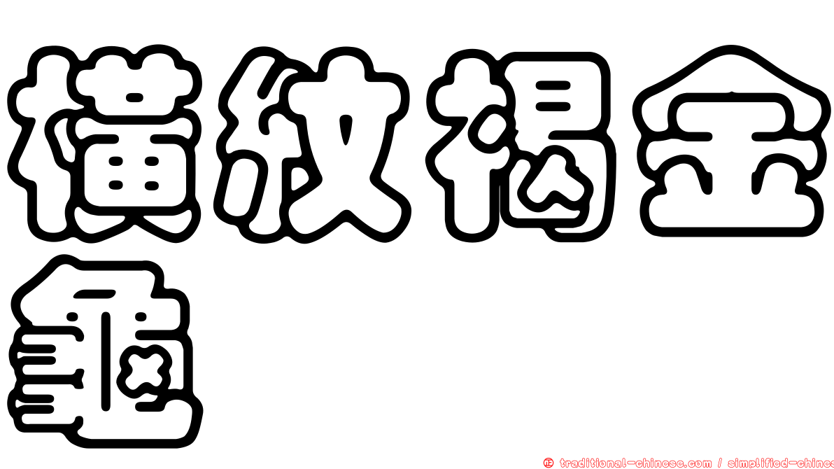 橫紋褐金龜