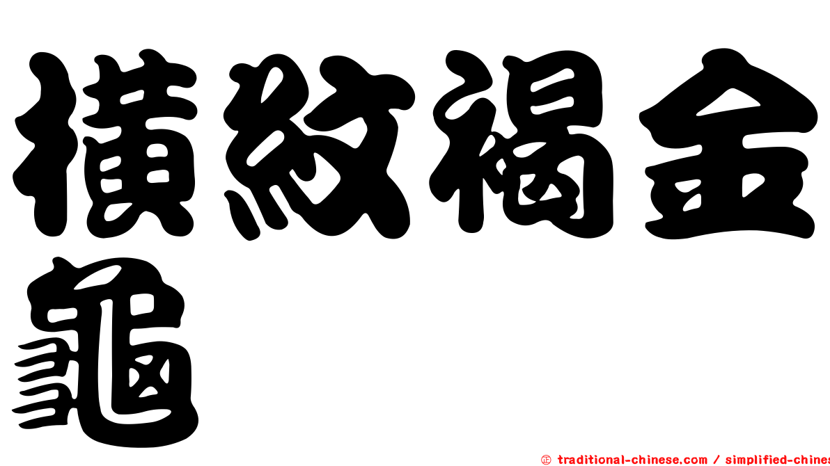 橫紋褐金龜