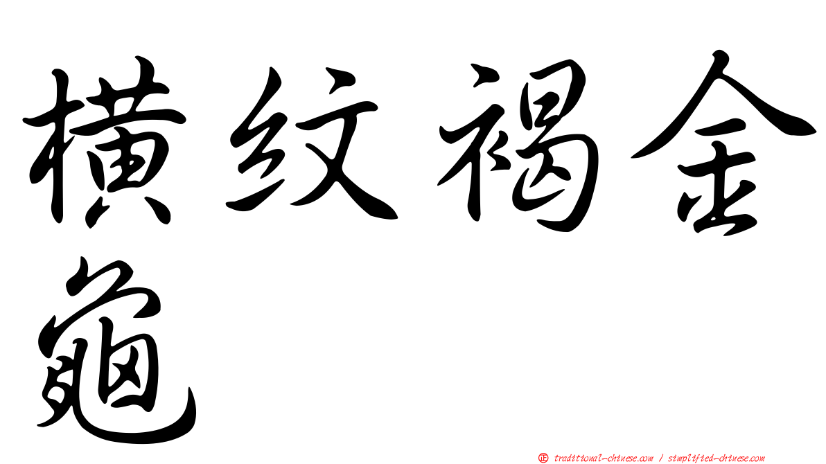橫紋褐金龜