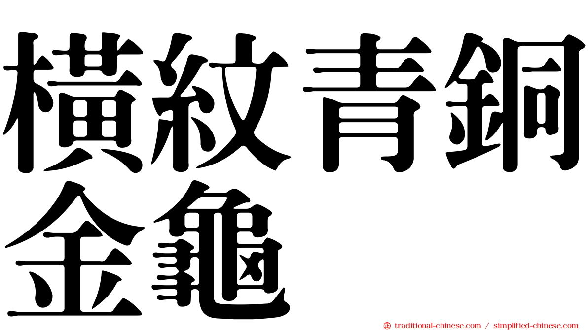 橫紋青銅金龜