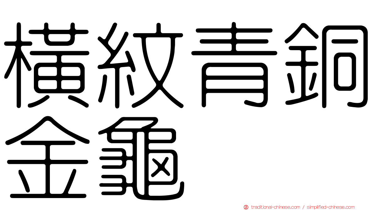 橫紋青銅金龜