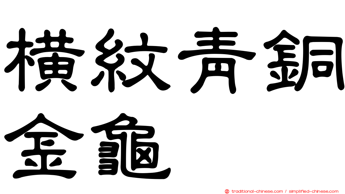 橫紋青銅金龜
